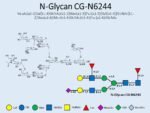 N-glycan-CG-N6244