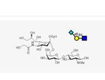 Neu5Gca2-6Galb1-4GlcNAc