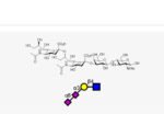 NeuAca2-8NeuAca2-3Galb1-4GlcNAc