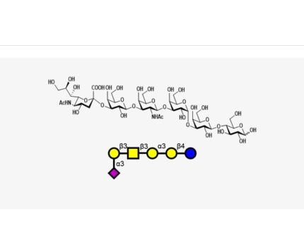 sialyl-igb5