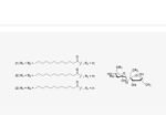 Sucrose-dilaurate