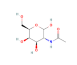 2-Acetamido-2-deoxy-D-galactopyranose