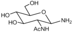 2-Acetamido-2-deoxy-b-D-glucopyranosylamin