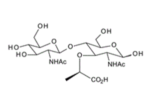 2-Acetamido-4-O-2-acetamido-2-deoxy-b-D-glucopyranosyl-2-deoxy-D-muramicacid