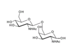 2-Acetamido-6-O-2-acetamido-2-deoxy-b-D-glucopyranosyl-2-deoxy-D-galactopyranose