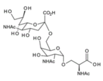 2-Acetamido-6-O-a-2-N-acetylneuraminyl-2-deoxy-a-D-galactopyranosylN-acetylserine