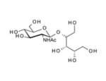 4-Adgr4-O-2-Acetamido-2-deoxy-b-D-glucopyranosyl-ribitol