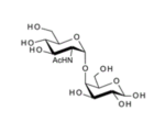 4-O-2-Acetamido-2-deoxy-a-D-glucopyranosyl-D-galactopyranose