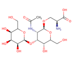 2-Acetamido-2-deoxy-3-O-b-D-galactopyranosyl-a-D-galactopyranosyl-1-O-L-serine