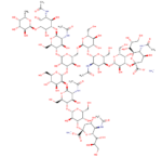 A2FN-Glycan