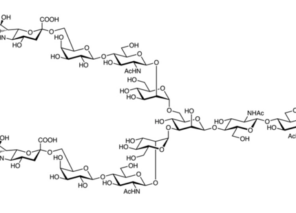 A2 N-Glycan ; A2G2S2 N-glycan