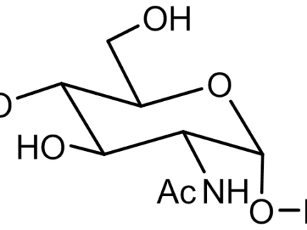 Benzyl a-D-GlcNAc (Benzyl 2-acetamido-2-deoxy-a-D-glucopyranoside)