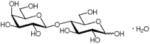 D-Lactose,  CAS:63-42-3