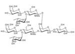 Difucosyllacto-N-neohexaose I ,  DFLNnH; Cluster Lewis x octasaccharide branched