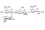 Fuca-2Galb-4GlcNAcb-3Gal-BloodgroupHtetraosetypeII