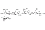 Fuca-2Galb-4GlcNAcb-3Galb-4Glc-BloodgroupHpentaosetypeII