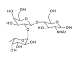 Fuca1-2Galb1-4GlcNAc-BloodGroupHtypeIItrisaccharide