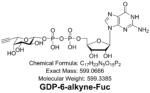 GDP-6-Alkyne-Fuc