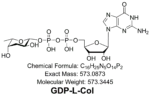 GDP-L-Col