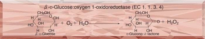 GLUCOSE OXIDASE from Aspergillus sp