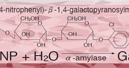 Gal-G2-α-CNP for Amylase substrates for Amylase substrates