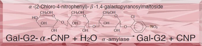 Gal-G2-α-CNP for Amylase substrates for Amylase substrates