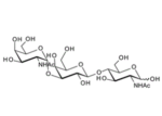 GalNAca1-3Galb1-4GlcNAc ; Blood Group A type II linear trisaccharide,