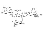 Gala1-3-Fuca1-2-Galb1-3GlcNAc-BloodGroupBtypeItetrasaccharide