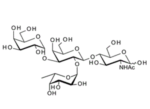 Gala1-3-Fuca1-2-Galb1-4GlcNAc-BloodGroupBtypeIItetrasaccharide