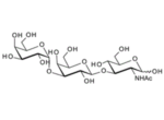Gala1-3Galb1-3GlcNAc ; Blood Group B type I linear trisaccharide
