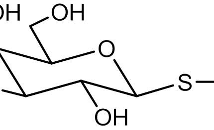 Isopropyl-a-D-thiogalactoside  IPTG (lactose based)