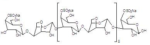 K-Carranonadecaose-Decasodium-Salt