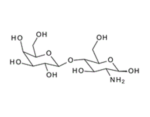 Lactosamine ,  4-O-(b-D-Galactopyranosyl)-D-glucosamine