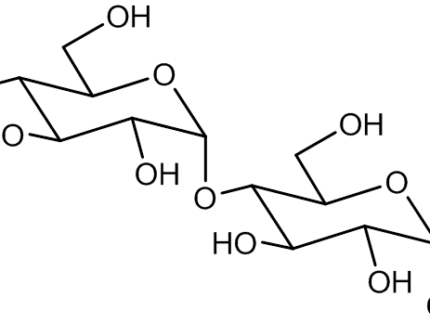 Maltose monohydrate