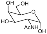 N-Acetyl-D-galactosamine