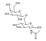 N-Acetylallolactosamine ; 2-Acetamido-2-deoxy-6-O-(b-D-galactopyranosyl)-D-glucose,
