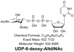 UDP-6-deoxy-AltdiNAc