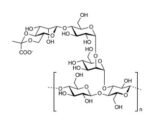 Xanthan-gum-polysaccharide