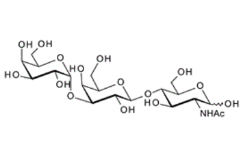 a-Gal epitope type II; Gala1-3Galb1-4GlcNAc ; Blood Group B type II linear trisaccharide,