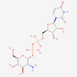 Udp-glcn