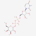 Udpgalactose