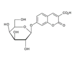 3-Carboxyumbelliferylb-D-galactopyranoside-CUG-Carboxyumbelliferylb-D-galactoside