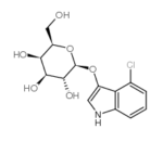 4-Chloro-3-indoxyl-beta-D-galactopyranoside