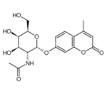 4-METHYLUMBELLIFERYL2-ACETAMIDO-2-DEOXY-ALPHA-D-GALACTOPYRANOSIDE