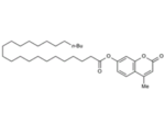 4-METHYLUMBELLIFERYLLIGNOCERATE