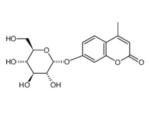 4-MU-alpha-D-glucoside