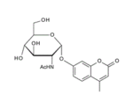 4-Methylumbelliferyl-2-acetamido-2-deoxy-alpha-D-glucopyranoside