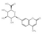 4-Methylumbelliferyl-beta-D-glucuronide