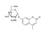 4-Methylumbelliferyl2-Acetamido-2-deoxy-3-4-6-tri-O-acetyl-alpha-D-Glucopyranoside