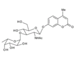 4-Methylumbelliferyl2-acetamido-2-deoxy-3-O-a-L-fucopyranosyl-b-D-glucopyranoside